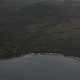 Aerial survey image of stranded whales